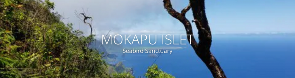 webpage header of mokapu islet