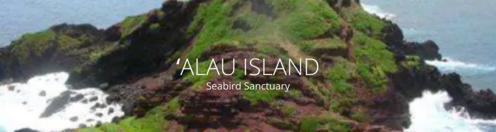webpage header of alau island