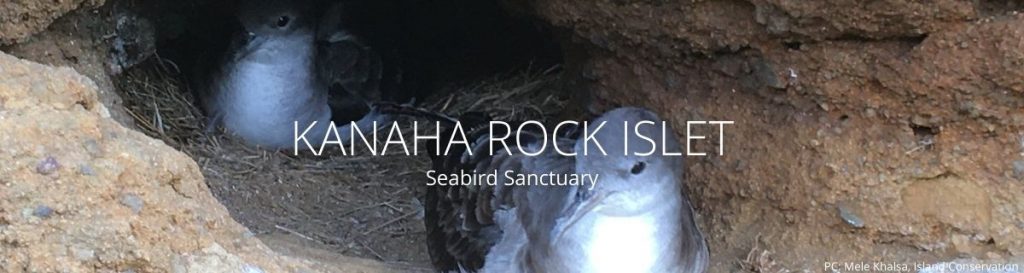 webpage header of kanaha rock islet