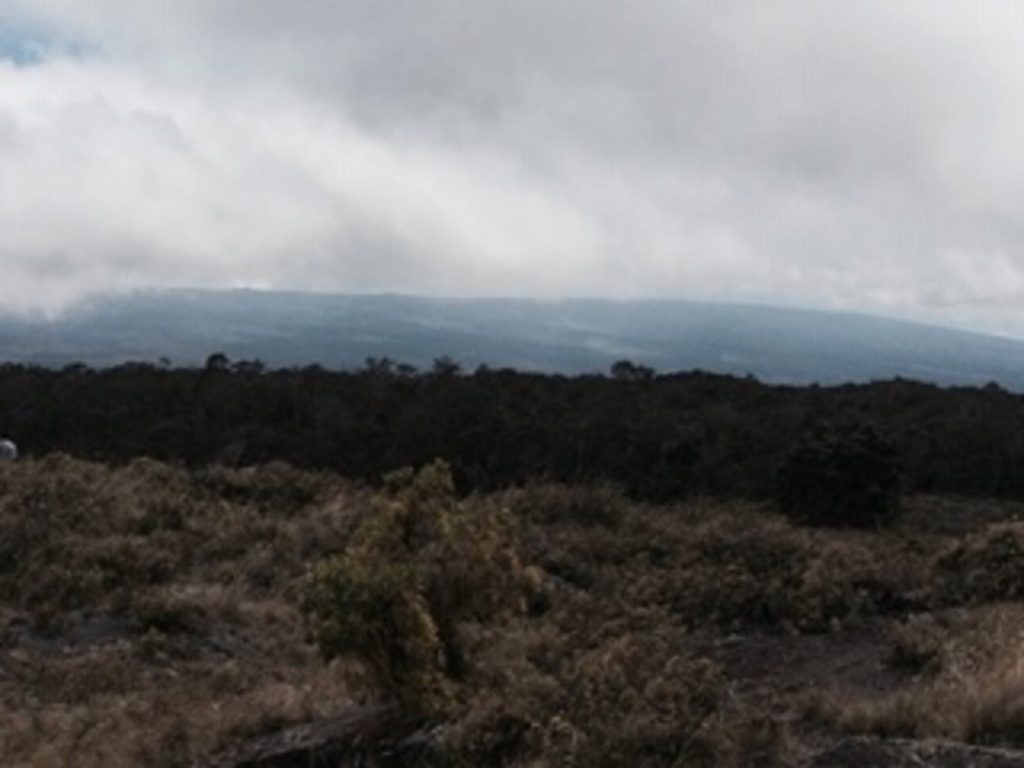 image of kipuka ainohau nene sanctuary scenery