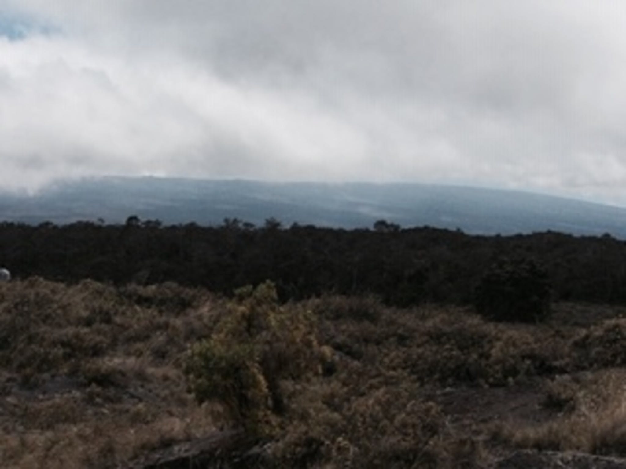 image of kipuka ainohau nene sanctuary scenery