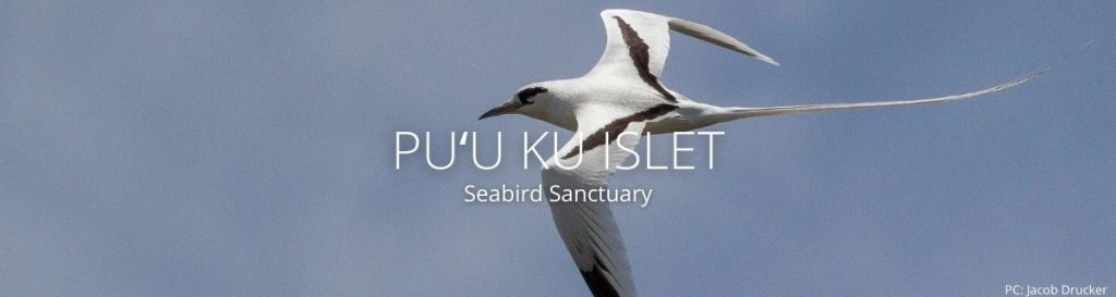 webpage header of puu ku islet