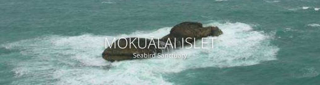 webpage header of mokualai islet