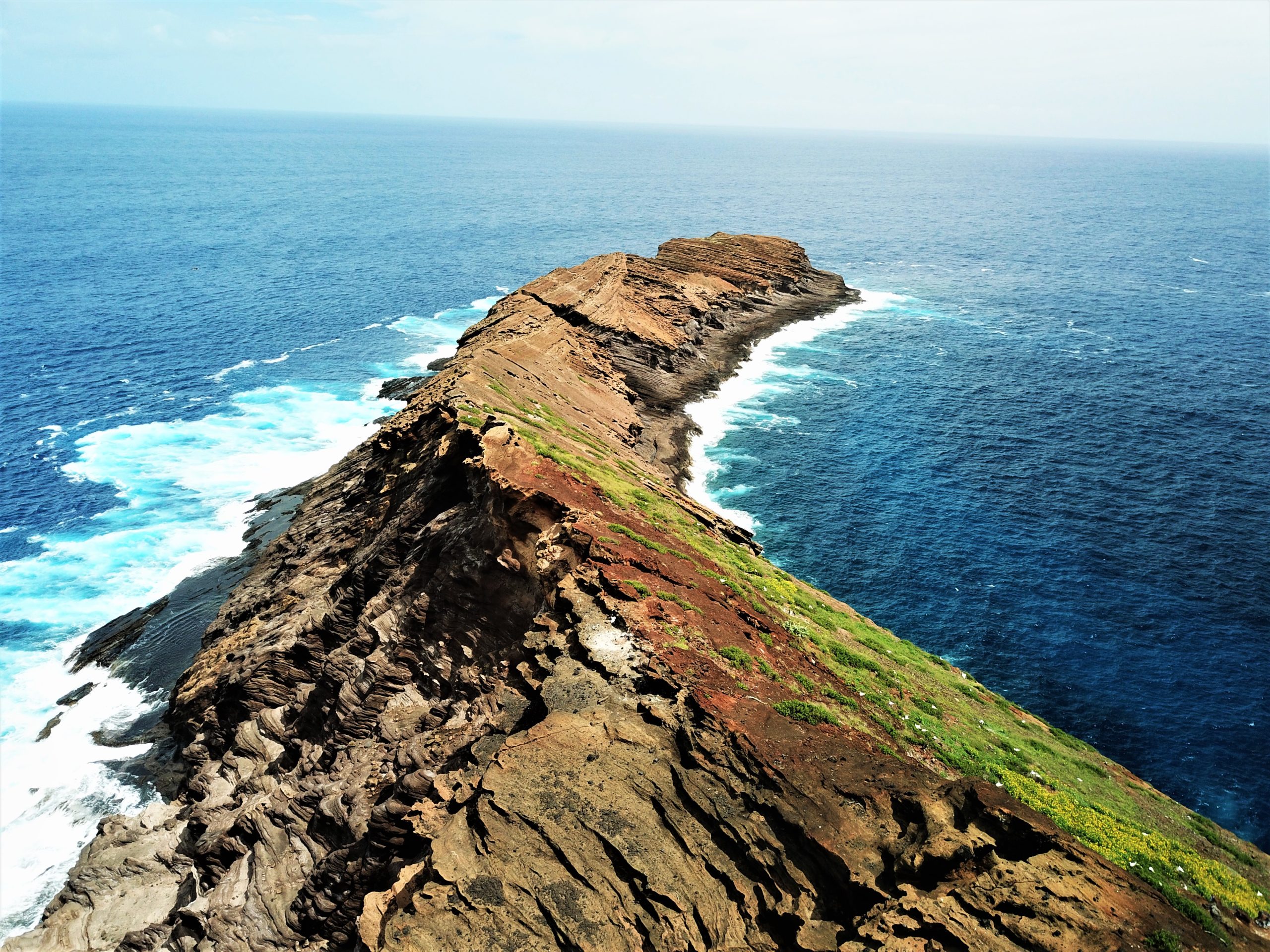 image of aerial view lehua