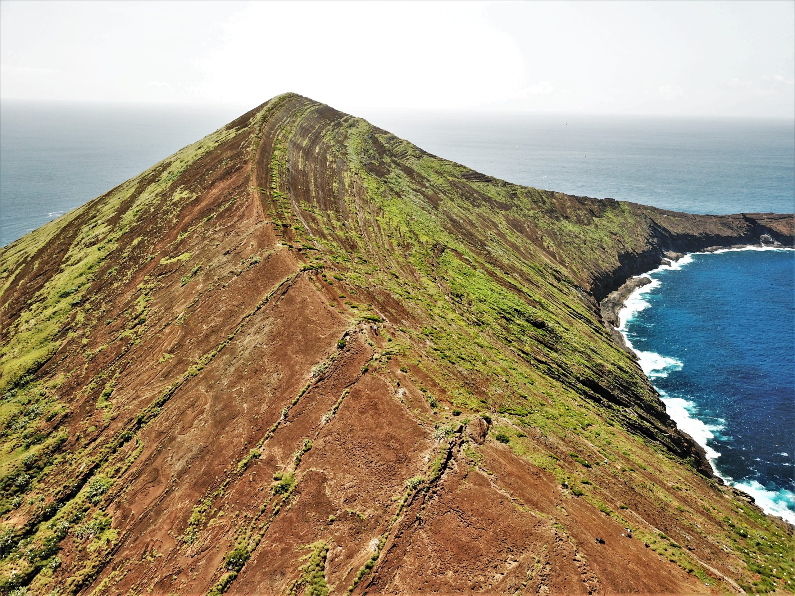 image of lehua summit