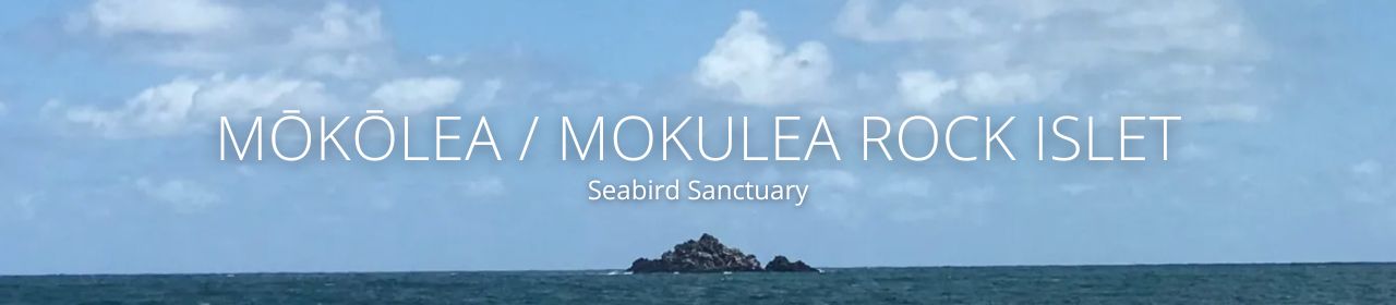 An image of Mōkōlea / Mokulea Rock Islet Seabird Sanctuary