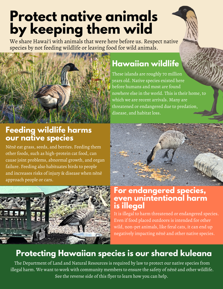 Division of Forestry and Wildlife Wildlife Program Protect Hawaiian