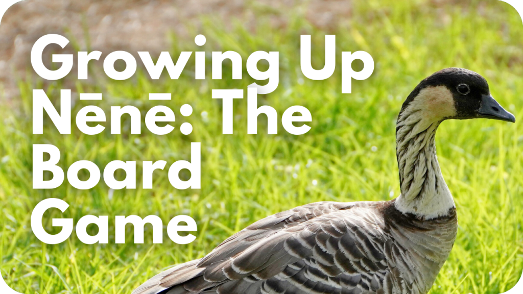 Growing up nēnē, the board game