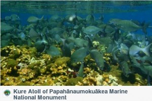 Kure Atoll of Papahānaumokuākea Marine National Monument