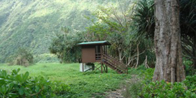 Photo of Cabin at Waimanu camp site