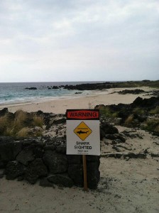 Photo by DOCARE.   Shark warning sign posted at Kua Bay,  Kekaha Kai State Park
