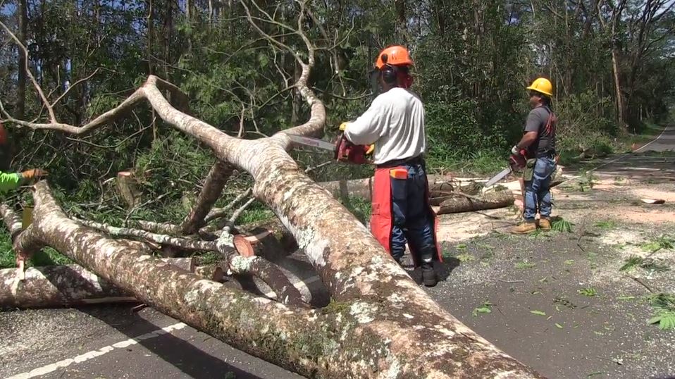 DOFAW Storm Cleanup