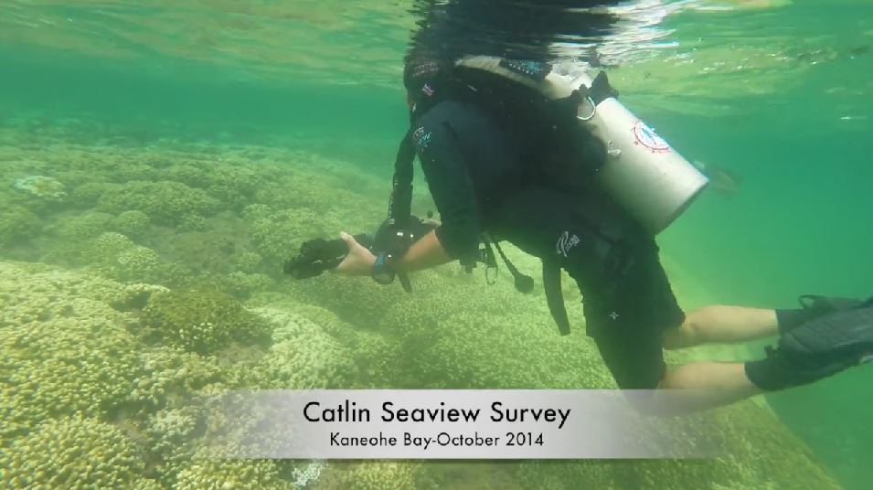 Catlin Seaview Survey