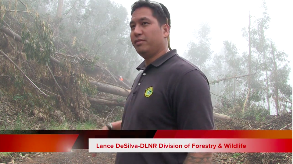 Kula Forest Reserve Reopen Lance DeSilva