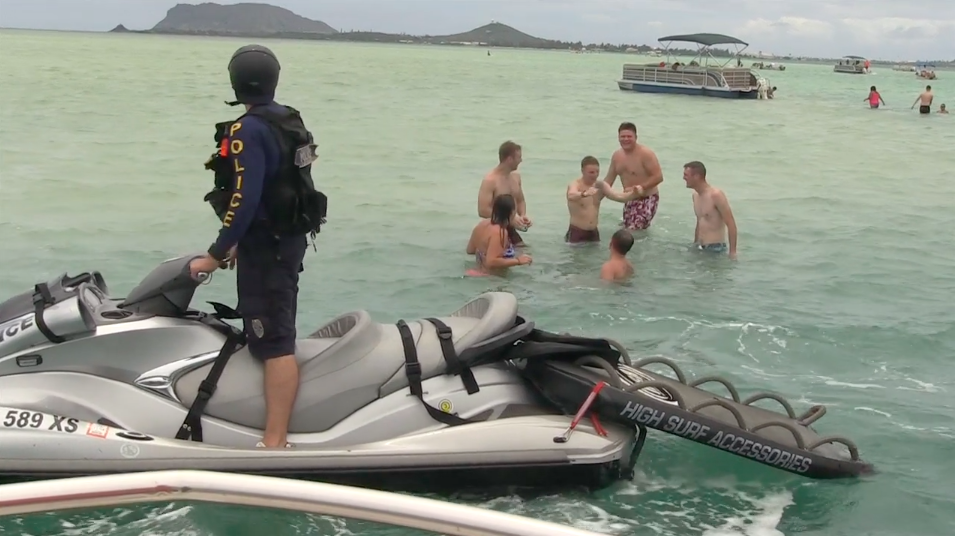 Sandbar Patrol