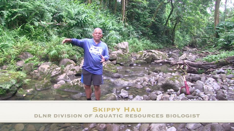 Skippy Hau - DAR Biologist