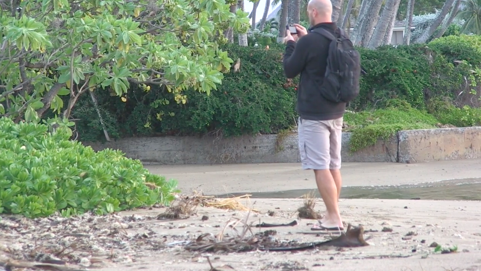 Shoreline-Vegetation-East-Honolulu