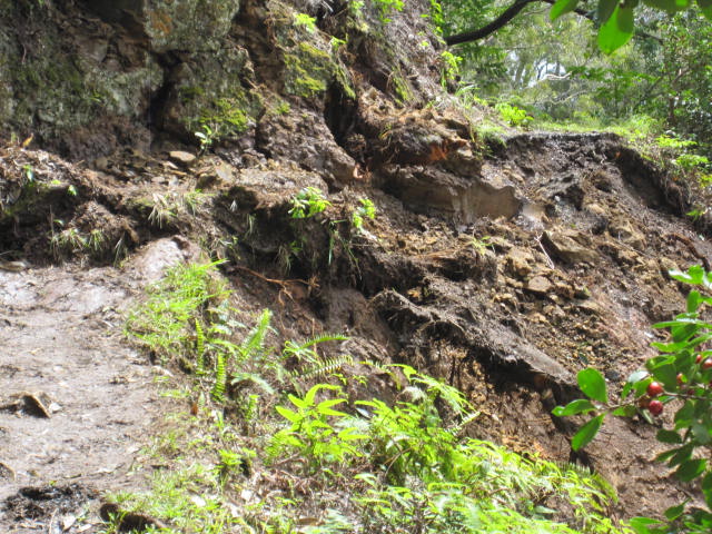 Aiea-Trail-Loop-Rockfall