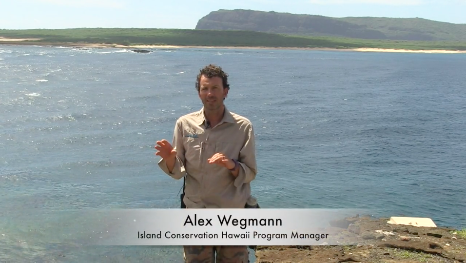 Kauai-Island-Conservation-Manager-Lehua-Alex-Wegmann