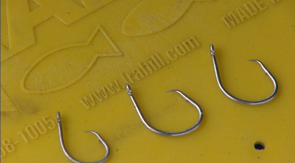 Fish Hooks vs Sharks, Honu & Seals pt III - Barbless Circle Hooks