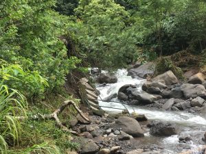 Iao Valley Monument Closed