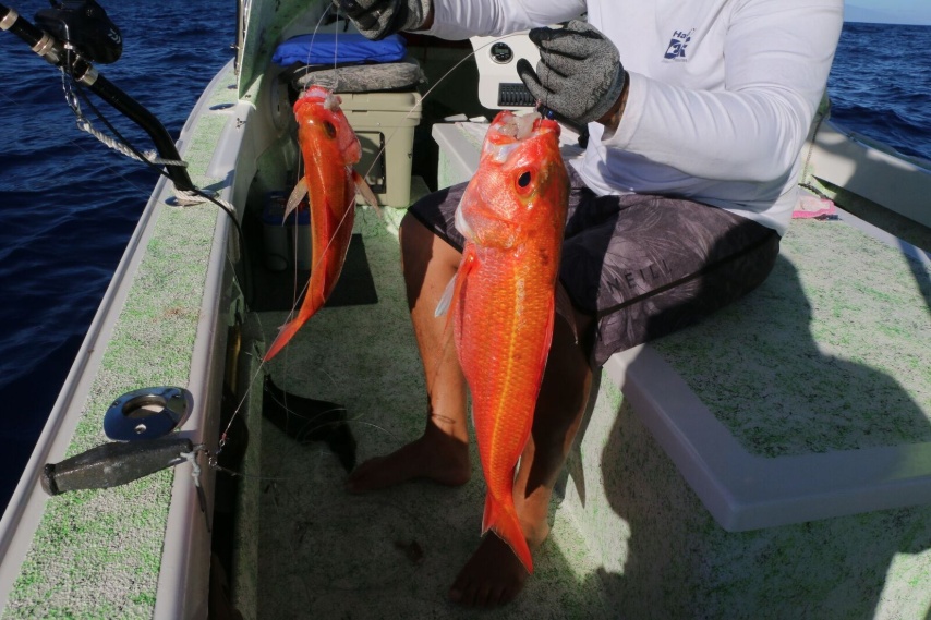 Bottom Fishing in Hawaii, HI - FishingBooker