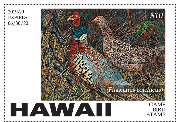 Department of Land and Natural Resources | 03/14/19-2019-2020 HAWAII  HUNTING STAMP CONTEST WINNERS ANNOUNCED