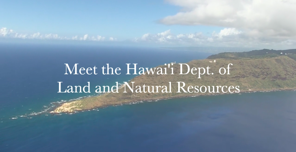 Meet the Hawaii Dept. of Land and Natural Resource