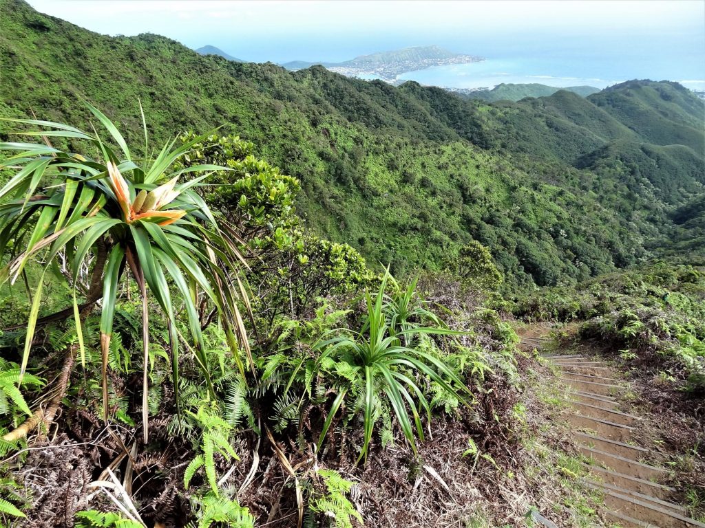 Department of Land and Natural Resources | 02/16/22-NEW EAST OʻAHU NATURAL  AREA RESERVE IS CLOSEST TO URBAN HONOLULU