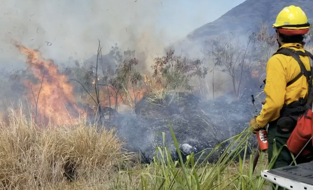 A person putting out a fire