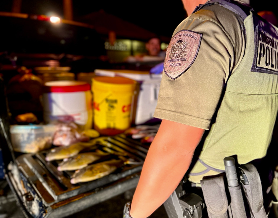 7 divers cited after illegal spearfishing, trying to elude DOCARE