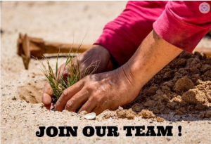 Join our team!