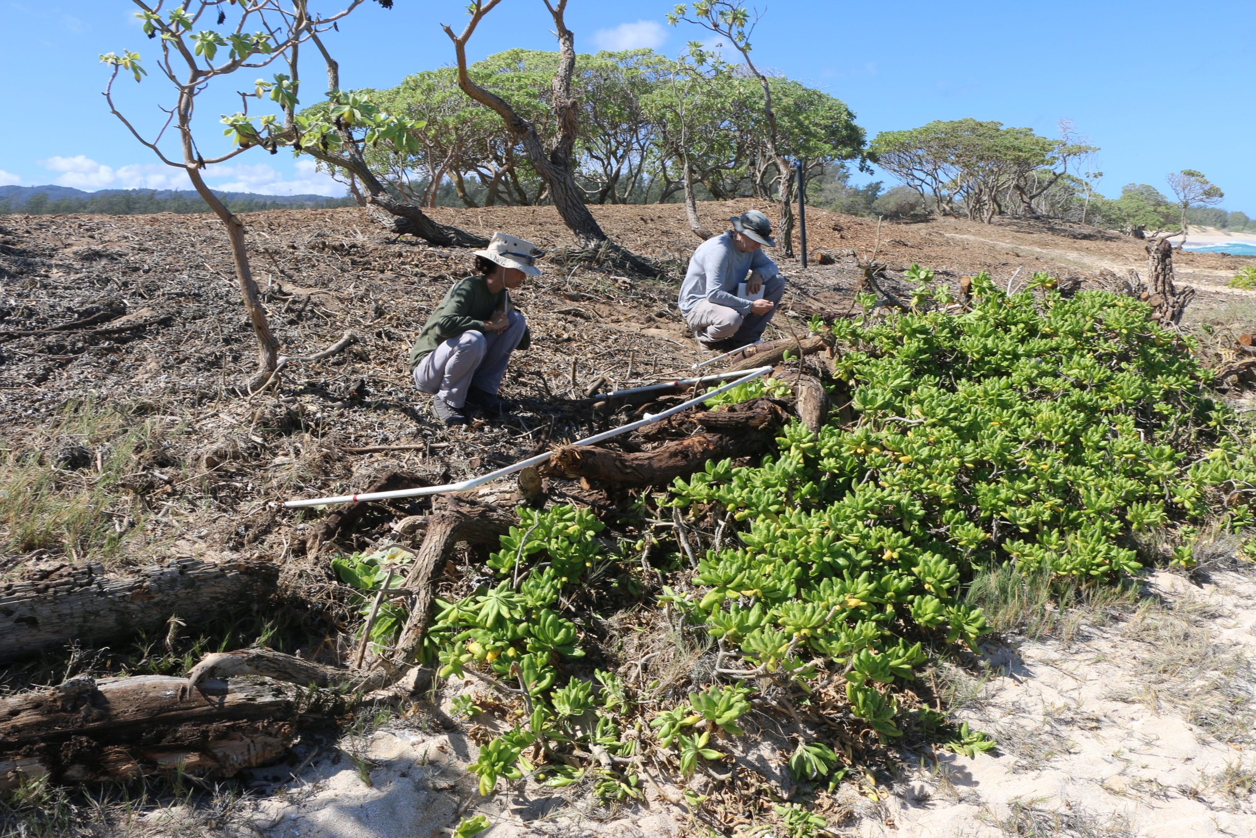 Department of Land and Natural Resources 10/19/23MARCONI POINT