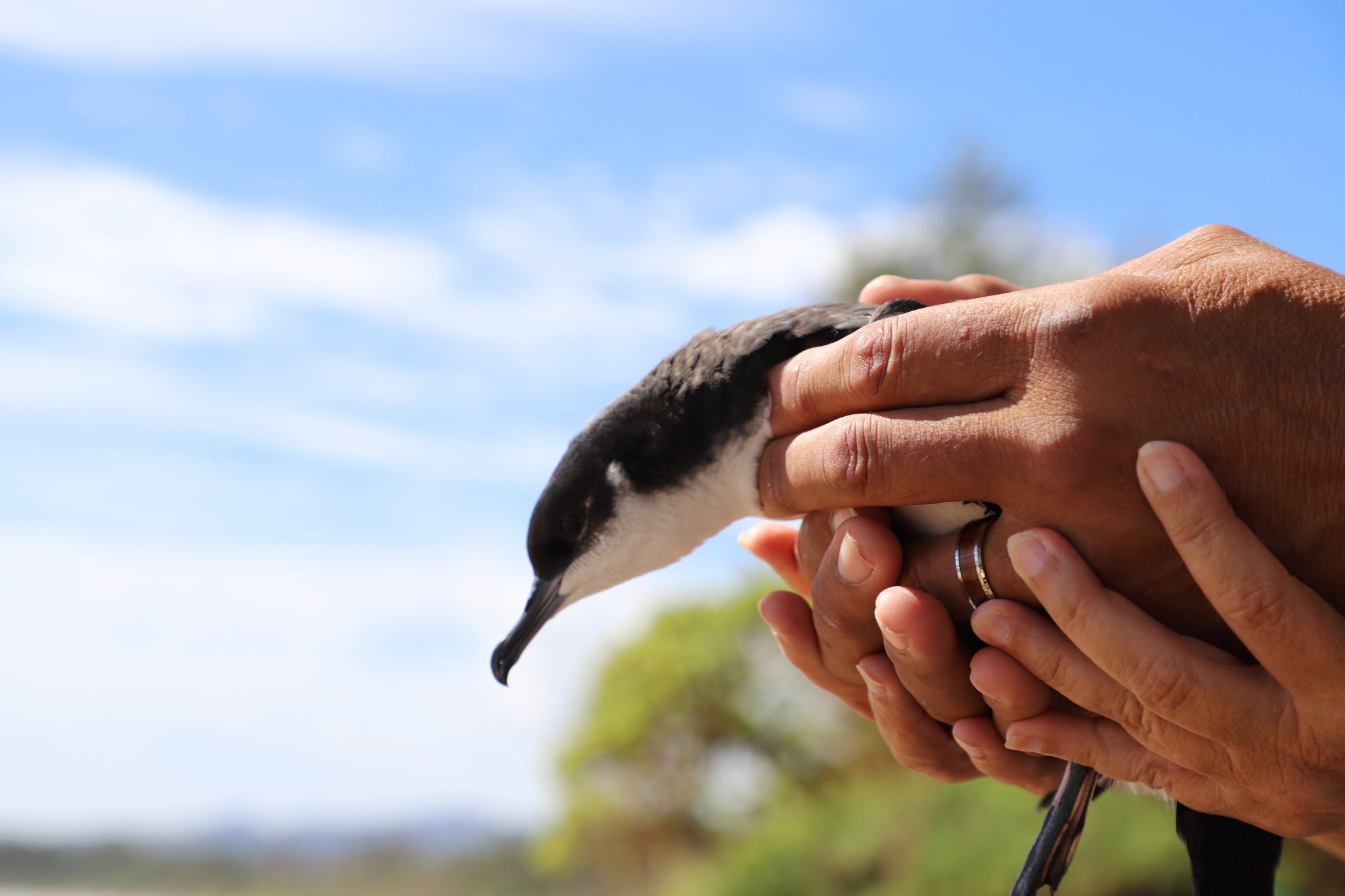 Department of Land and Natural Resources 10/23/24 KAUA‘I STUDENTS