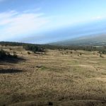 Picture of landscape down the slopes of the Kamehamenui Forest Reserve, Sept. 4, 2020.