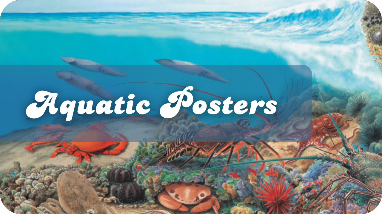 Aquatic Posters