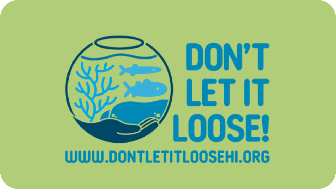Donʻt let is loose- www.dontletitloosehi.org