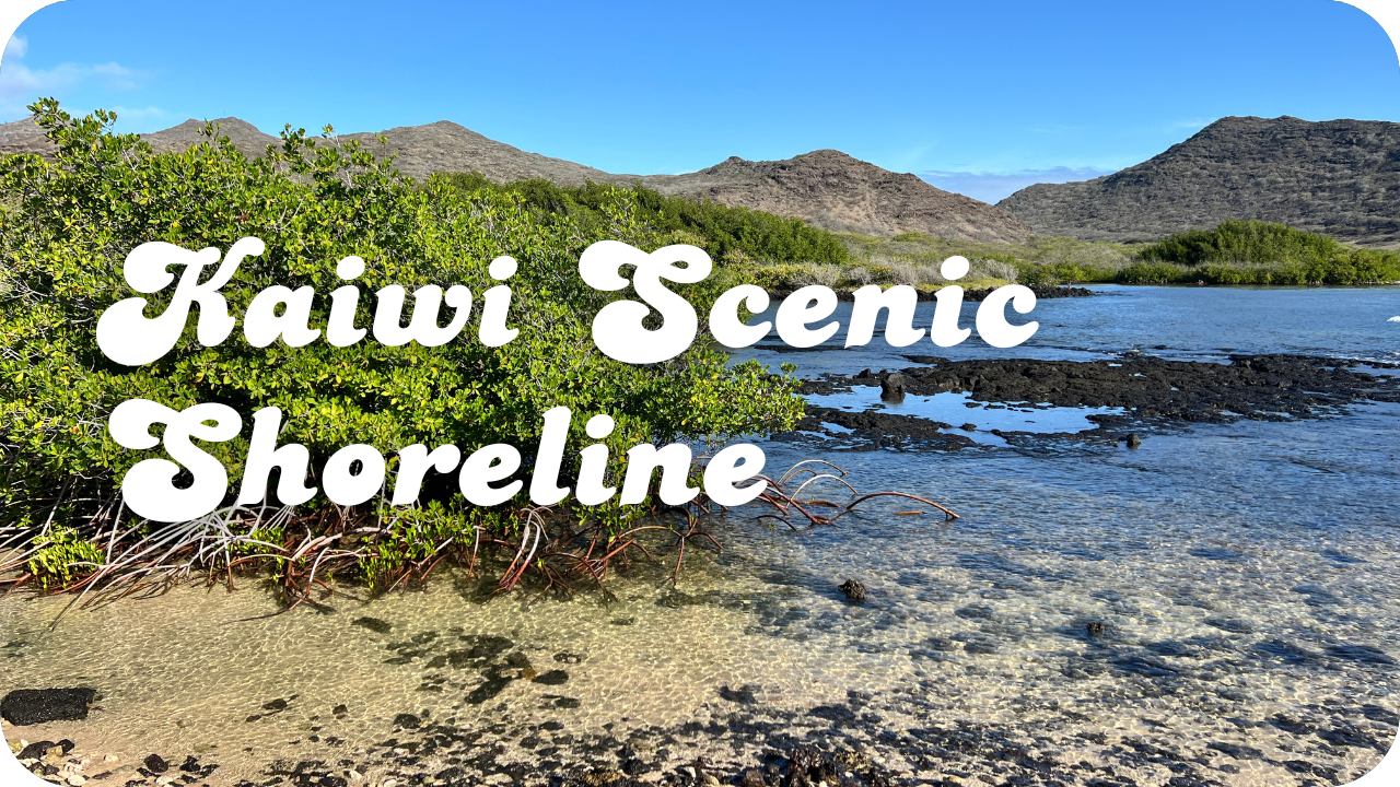 Kaiwi Scenic Shoreline