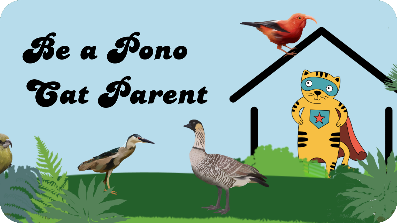 Be a Pono Cat Parent