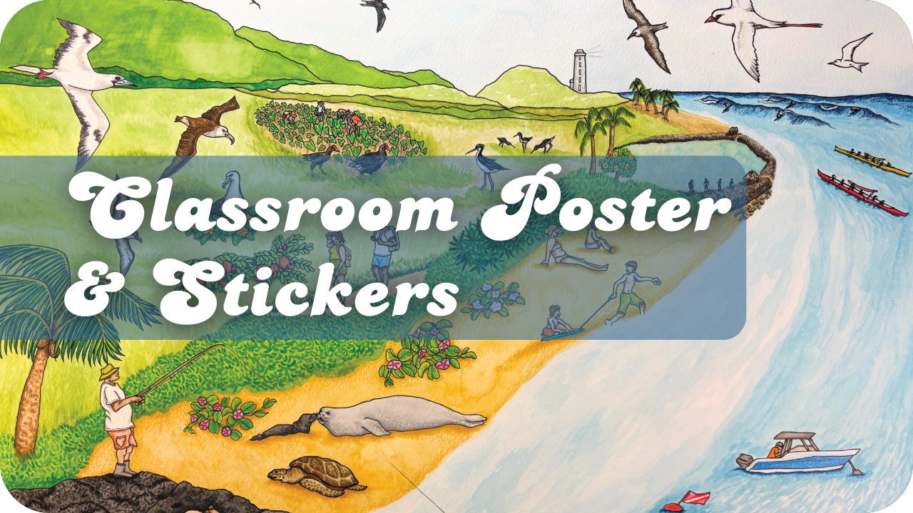 Classroom Posters & Stickers