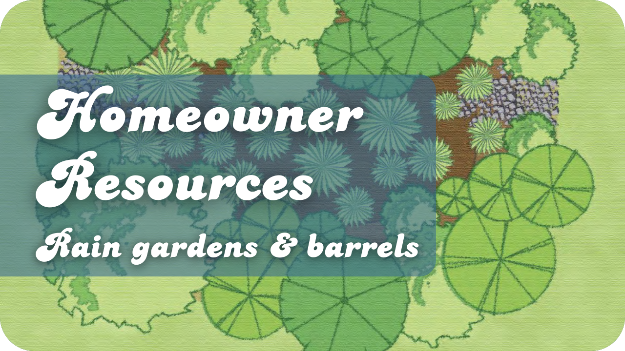 Homeowner Resources- Rain gardens and barrels