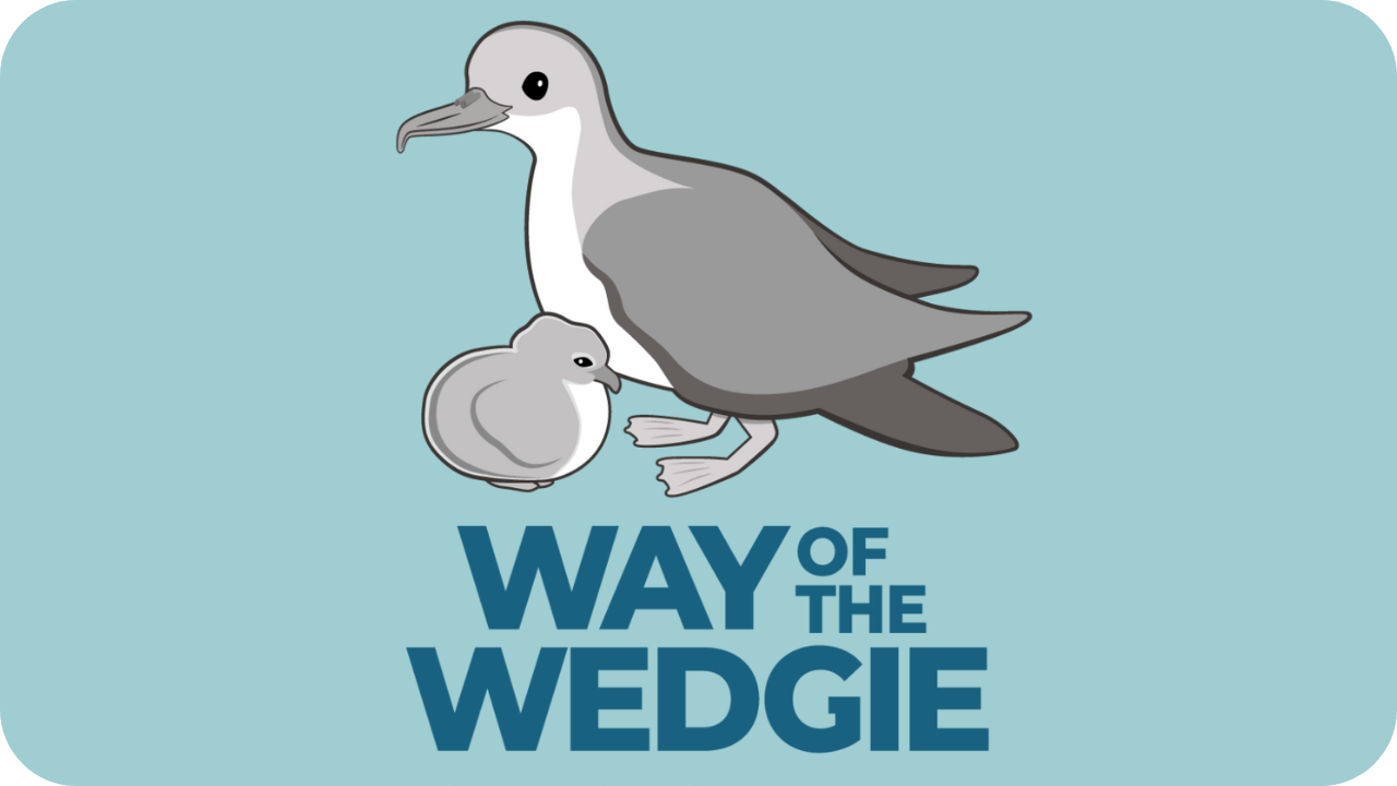 Way of the Wedgie