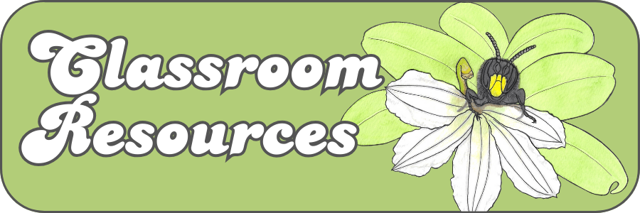Classroom resources