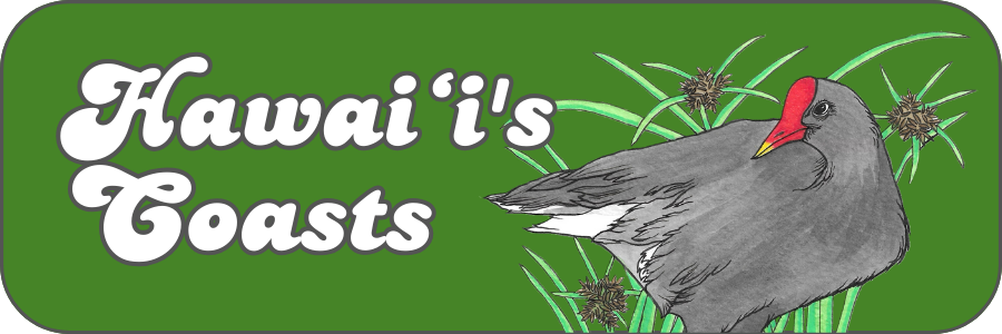 Learn about Hawaiʻi's Coasts