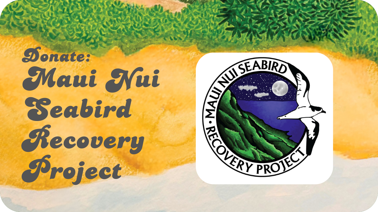 Donate: Maui Nui Seabird Recovery Project