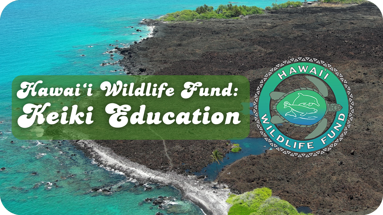 Hawaiʻi Wildlife Fund: Keiki Education
