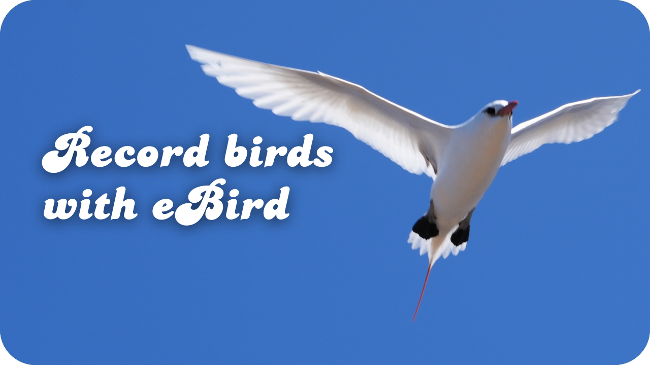 Record Birds with eBird