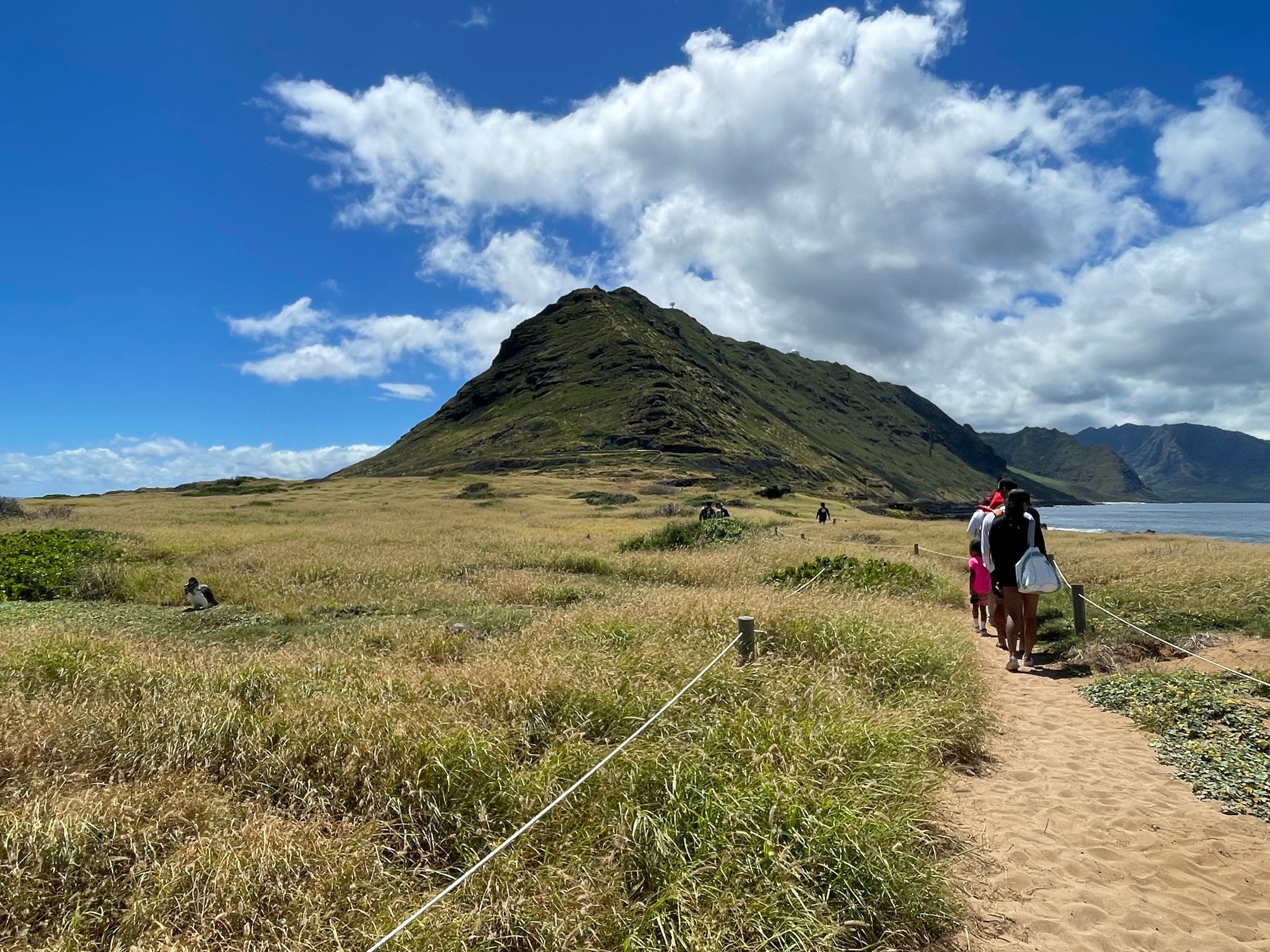 Kaʻena Point State Park and Natural area Reserve