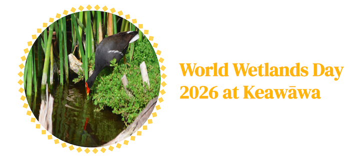 World Wetlands Day 2026 at Keawawa