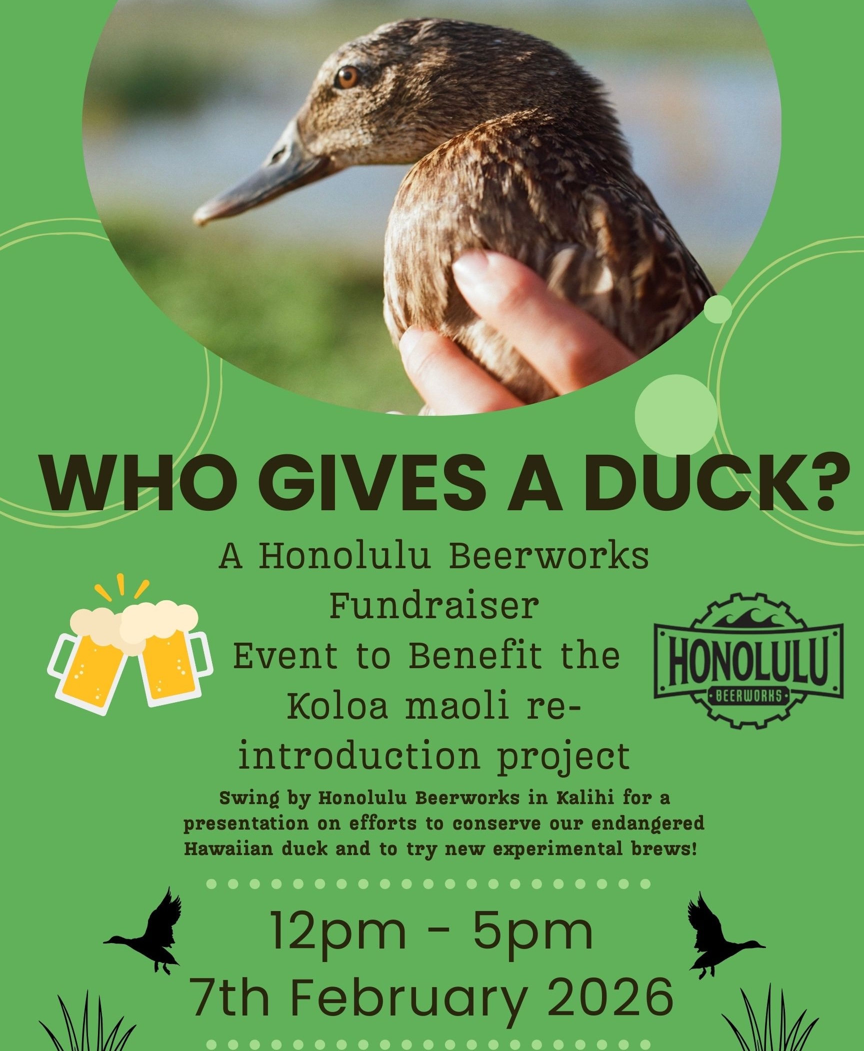 Koloa fundraiser flyer